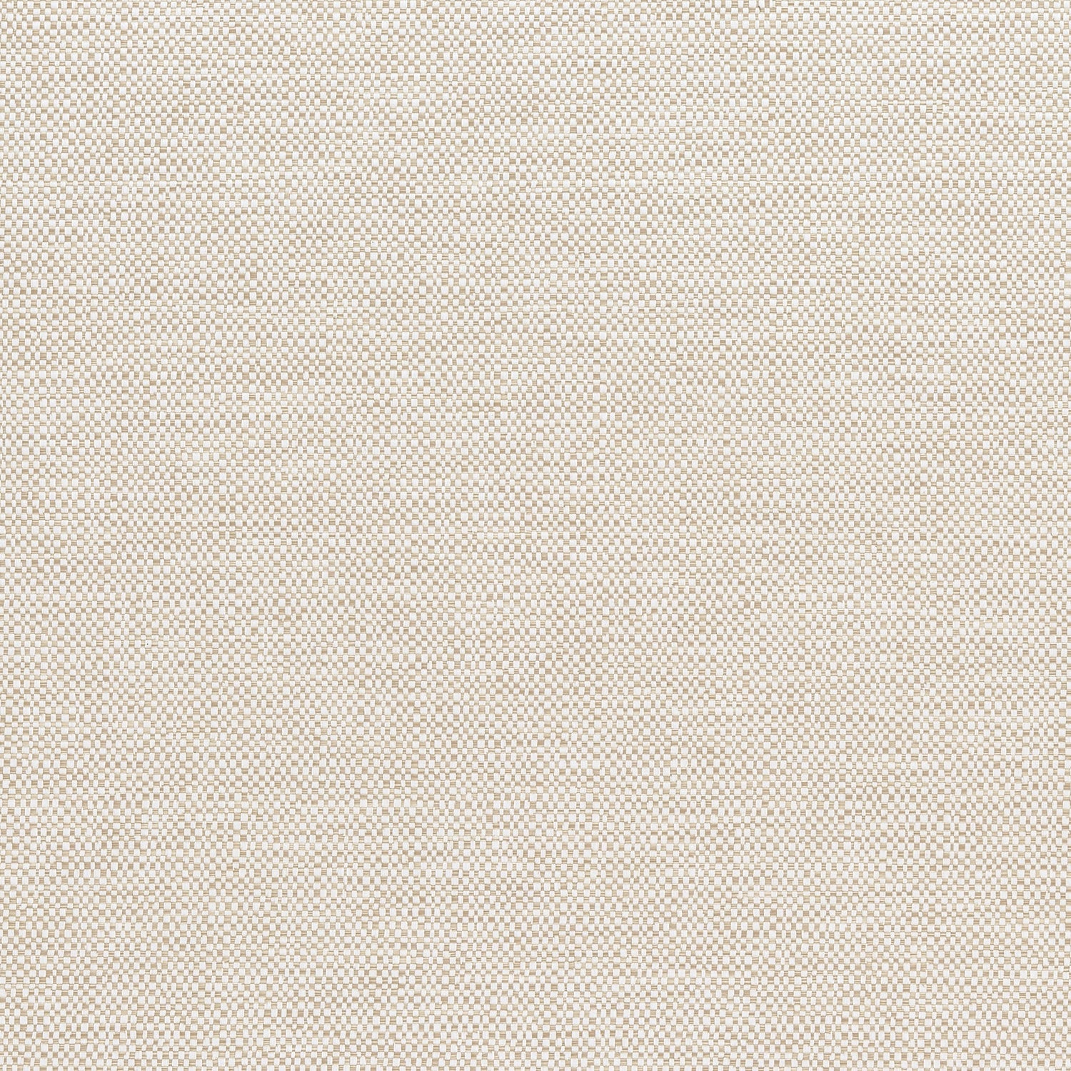 Velani fabric in oatmeal color - pattern number W9146 - by Thibaut in the Woven Essentials collection