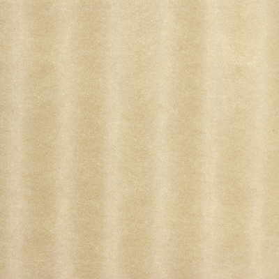 Whoa Nelly fabric in blonde color - pattern WHOA NELLY.1.0 - by Kravet Couture