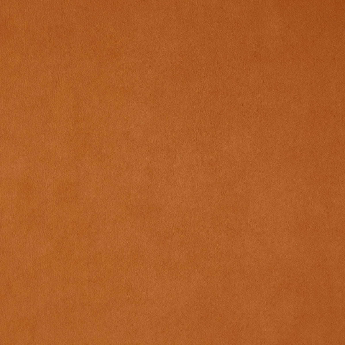 Wisdom fabric in 26 color - pattern number Wisdom26J7531 - by JF Fabrics in the Tannery Basics II collection