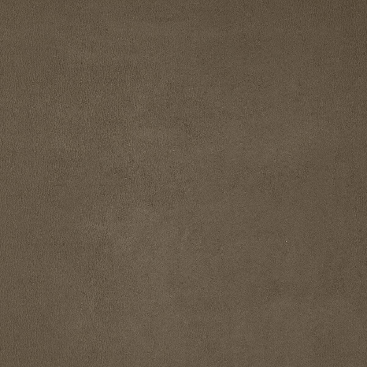 Wisdom fabric in 35 color - pattern number Wisdom35J7531 - by JF Fabrics in the Tannery Basics II collection