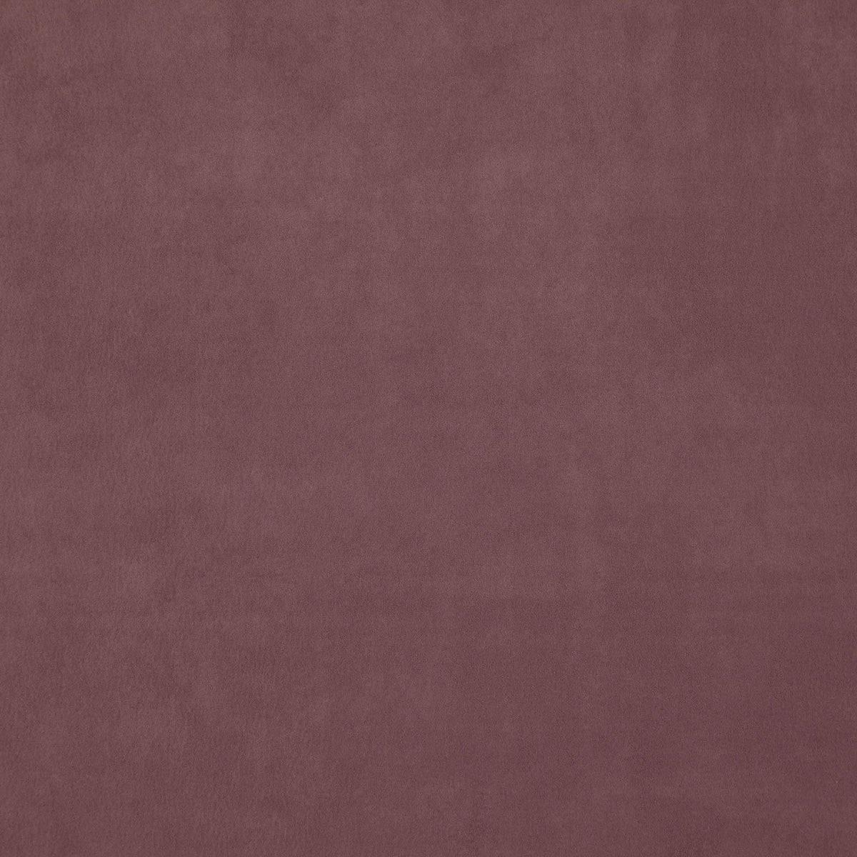 Wisdom fabric in 57 color - pattern number Wisdom57J7531 - by JF Fabrics in the Tannery Basics II collection