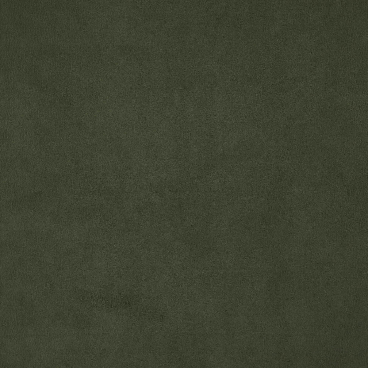 Wisdom fabric in 77 color - pattern number Wisdom77J7531 - by JF Fabrics in the Tannery Basics II collection