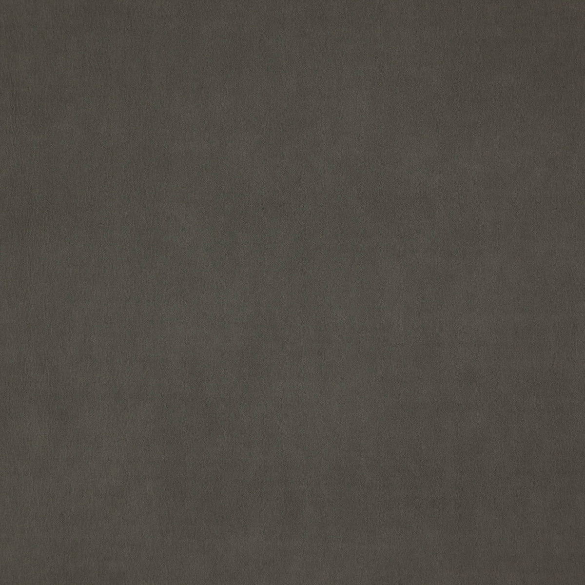 Wisdom fabric in 95 color - pattern number Wisdom95J7531 - by JF Fabrics in the Tannery Basics II collection