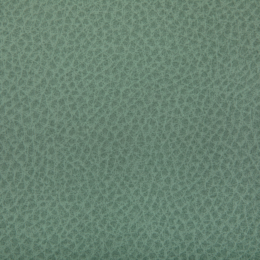 Woolf fabric in julep color - pattern WOOLF.130.0 - by Kravet Contract