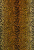 Leopard Velvet fabric in gold brown color - pattern number Y0 00010690 - by Scalamandre in the Old World Weavers collection