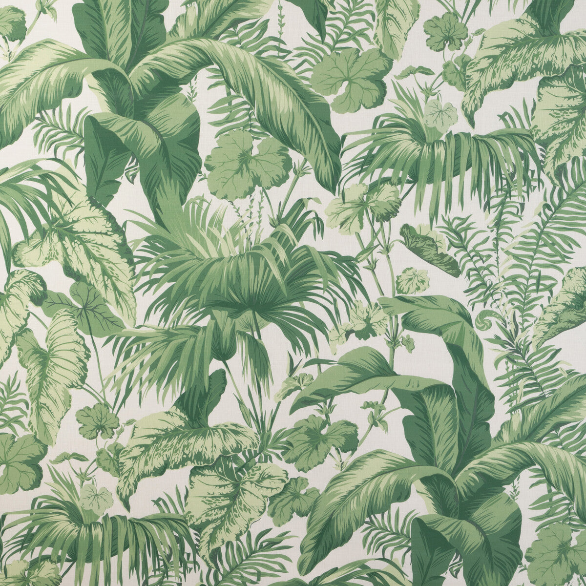 Yasuni fabric in verde color - pattern YASUNI.3.0 - by Kravet Couture in the Casa Botanica collection
