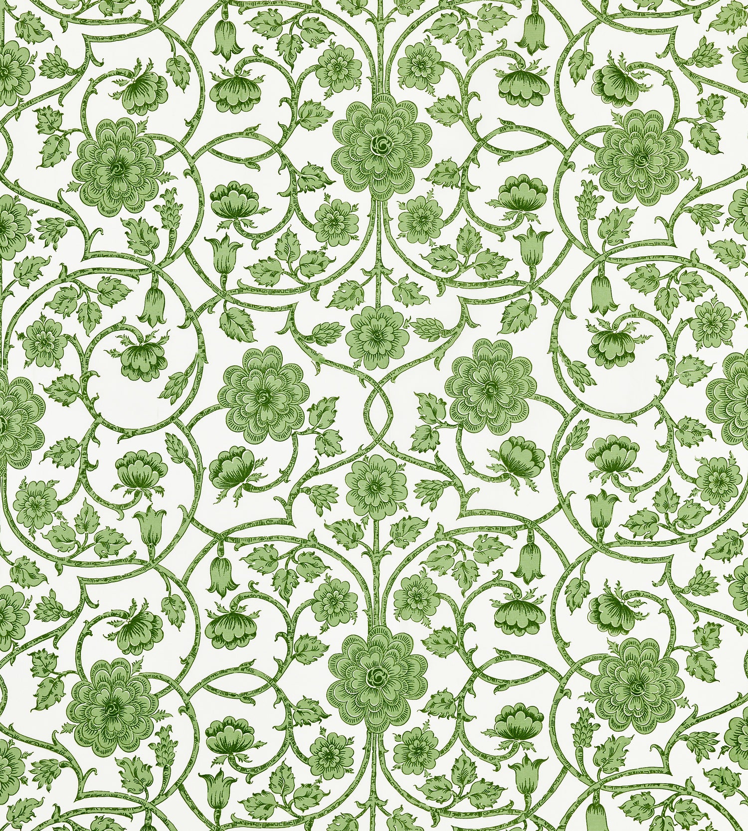 Ornamental Gate fabric in fern color - pattern number YD 00015736 - by Scalamandre in the Scalamandre Dec 2024 collection