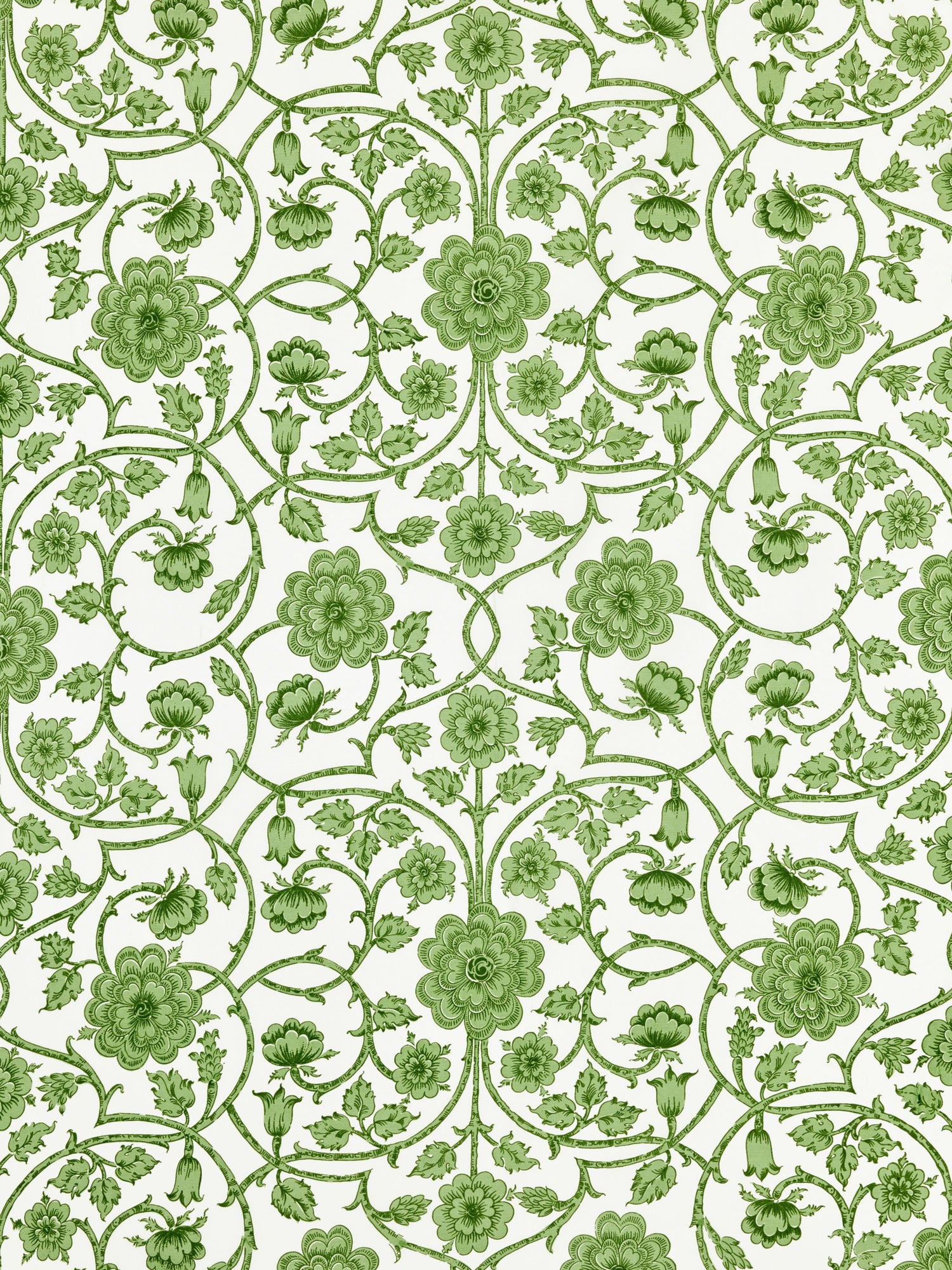 Ornamental Gate fabric in fern color - pattern number YD 00015736 - by Scalamandre in the Scalamandre Dec 2024 collection