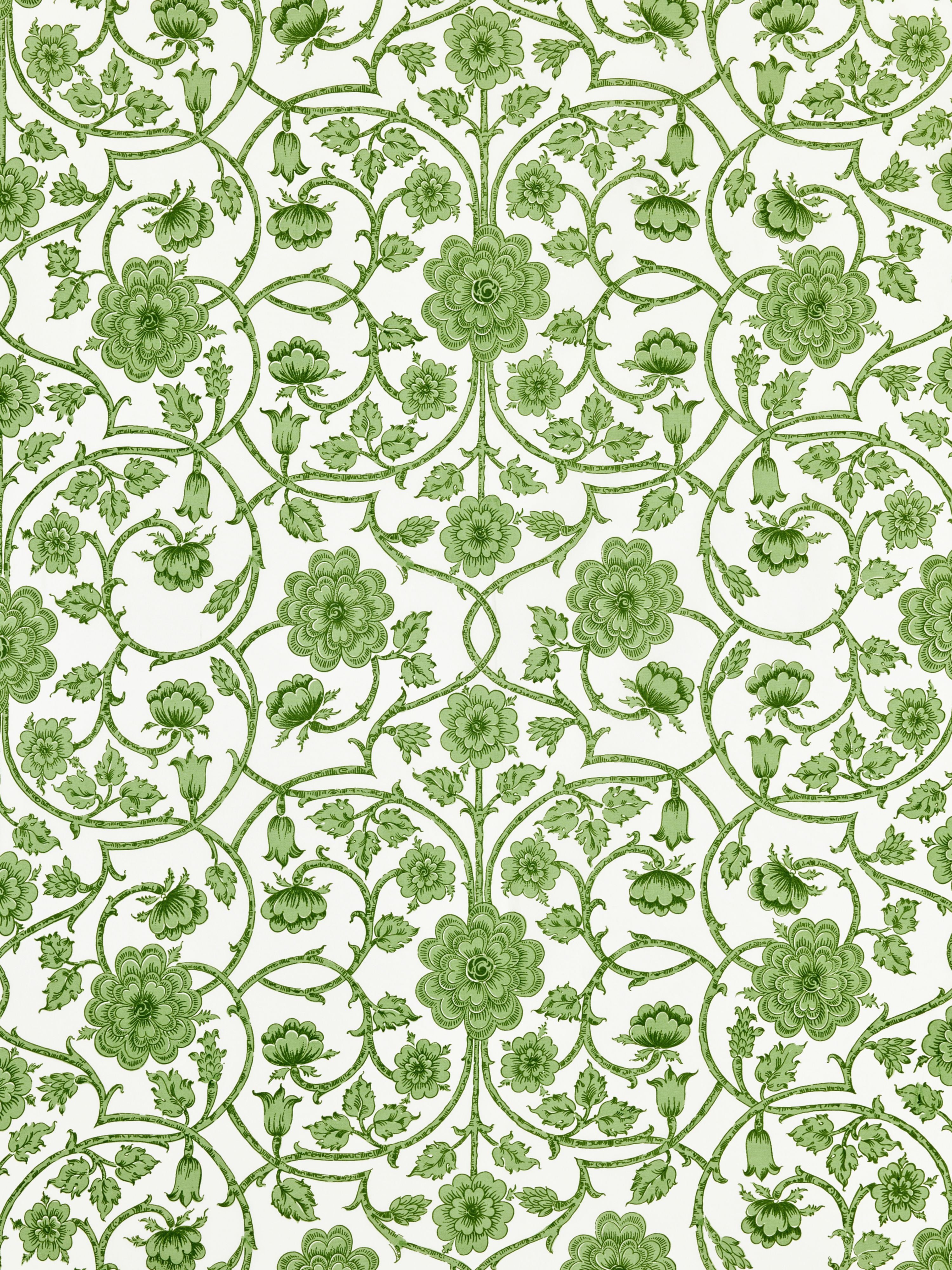 Ornamental Gate fabric in fern color - pattern number YD 00015736 - by Scalamandre in the Scalamandre Dec 2024 collection
