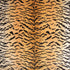 Tiger - Silk fabric in brown on gold color - pattern number YS 00010691 - by Scalamandre in the Old World Weavers collection