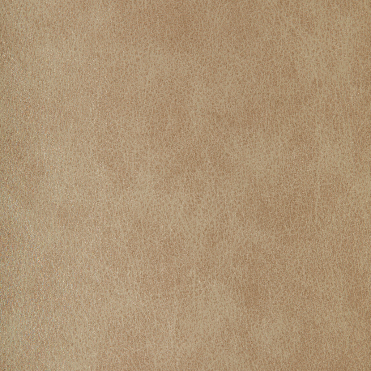 Zenon fabric in zenon-11 color - pattern number ZENON.11.0 - by Kravet Design in the Faux Leather IV collection