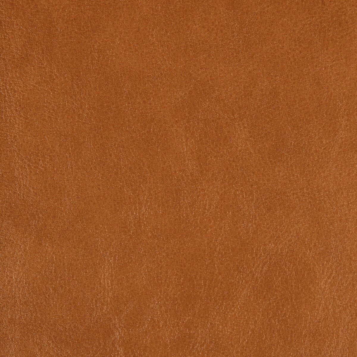 Zenon fabric in zenon-6 color - pattern number ZENON.6.0 - by Kravet Design in the Faux Leather IV collection