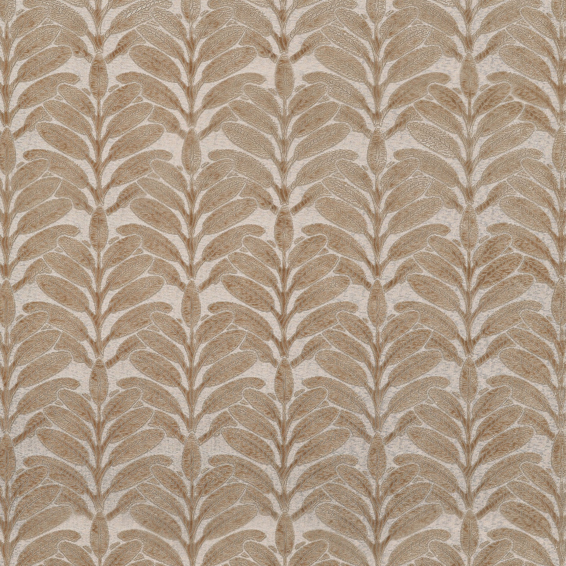 Linden Velvet fabric in mushroom color - pattern number AW9202 - by Anna French in the Camelot collection