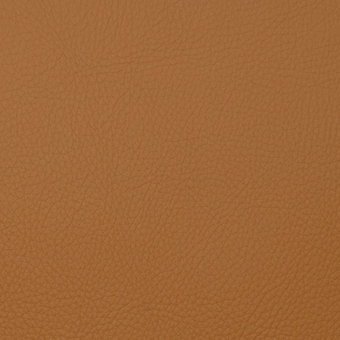 Neptune fabric in toast color - pattern number 09129 - by Europatex in the Neptune collection