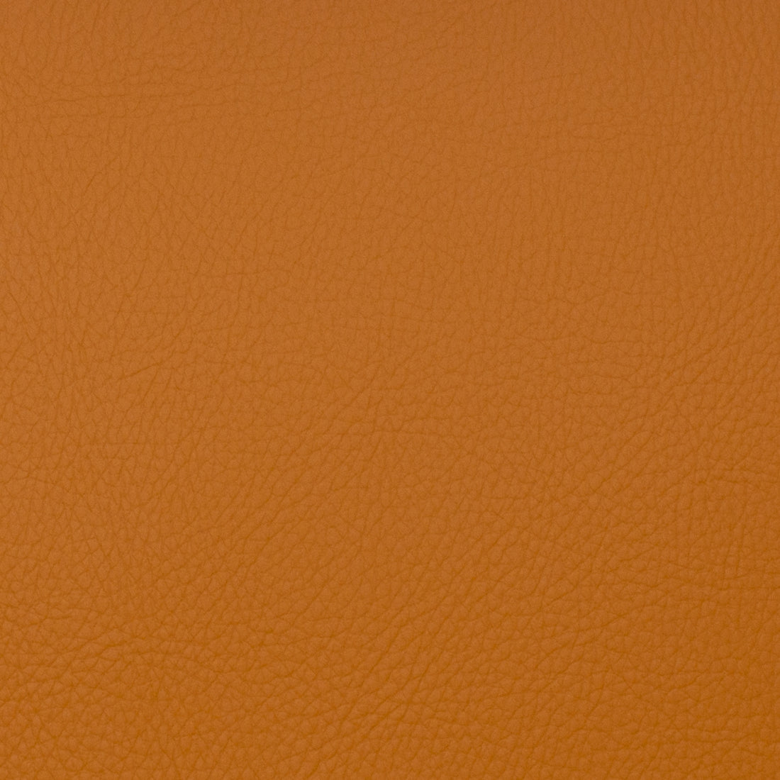 Neptune fabric in spice color - pattern number 09127 - by Europatex in the Neptune collection