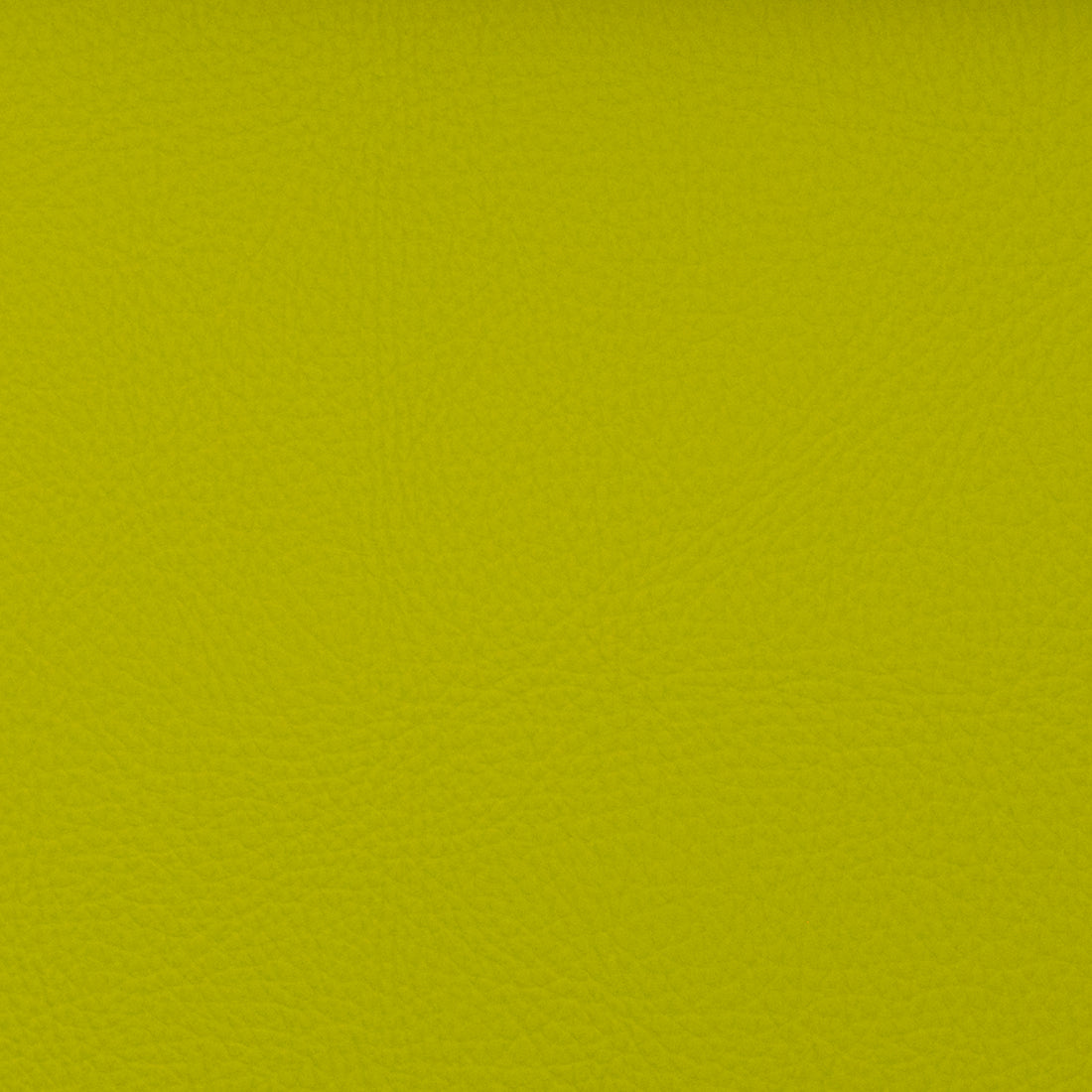 Neptune fabric in key lime color - pattern number 09113 - by Europatex in the Neptune collection