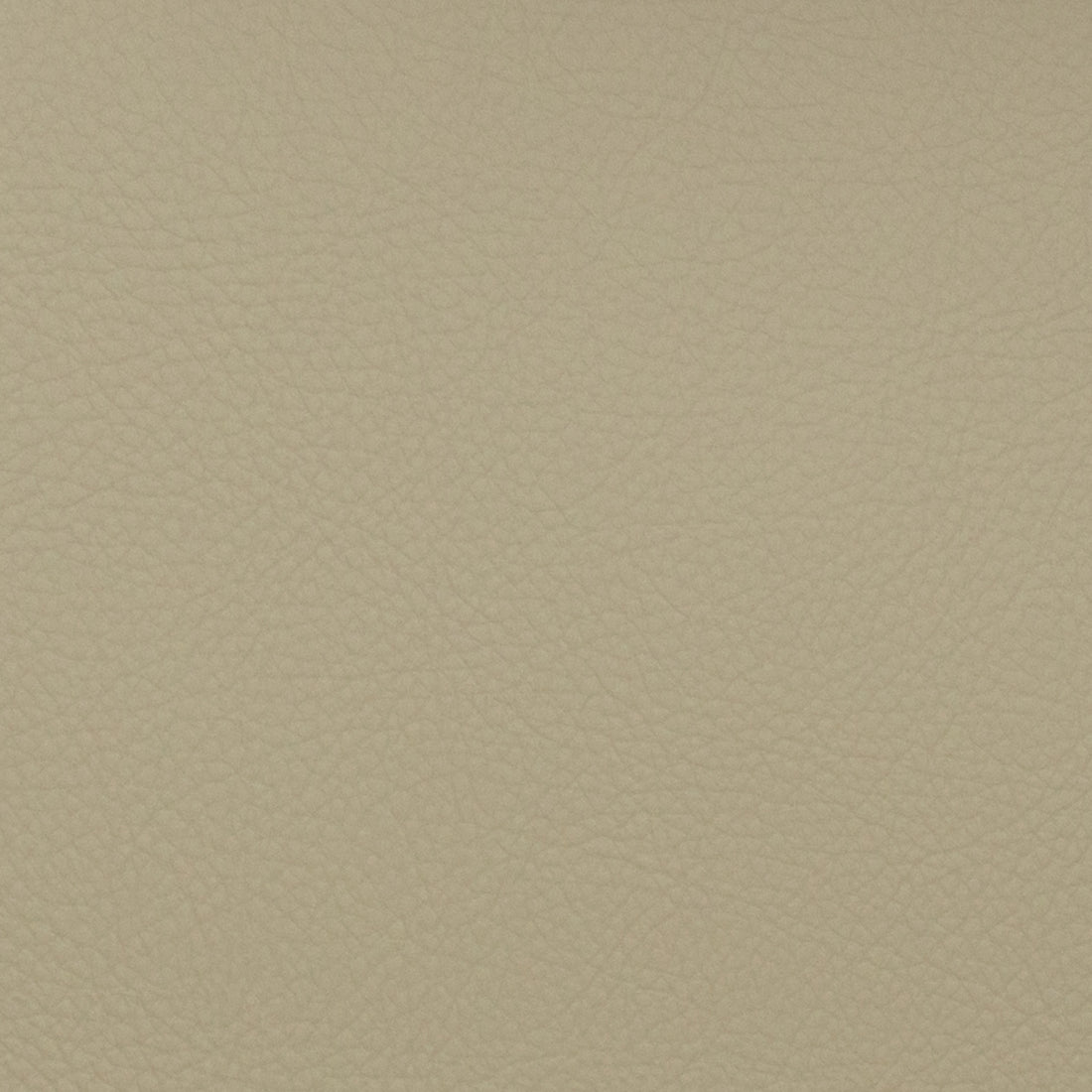 Neptune fabric in mushroom color - pattern number 09117 - by Europatex in the Neptune collection