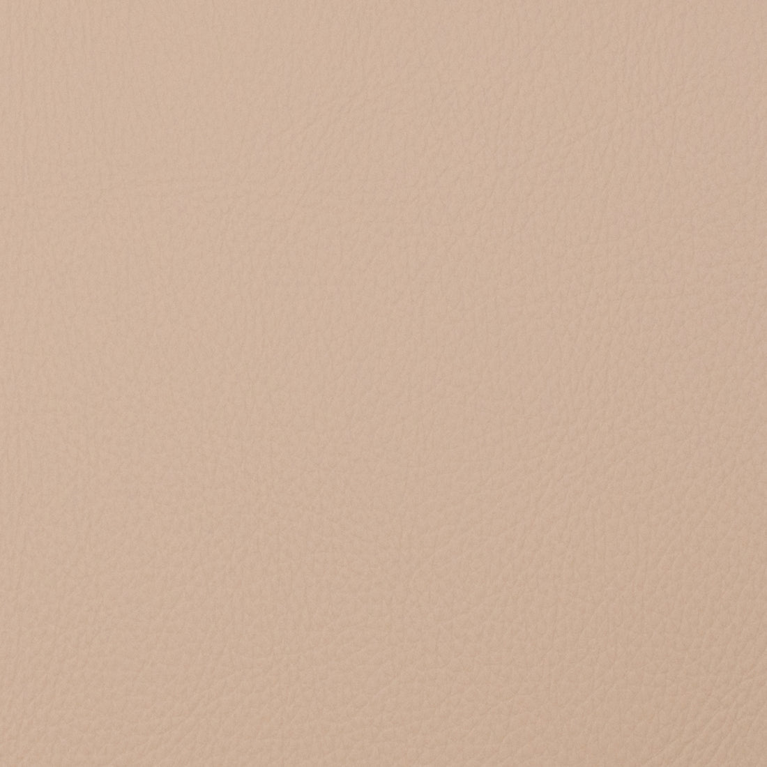 Neptune fabric in nougat color - pattern number 09118 - by Europatex in the Neptune collection