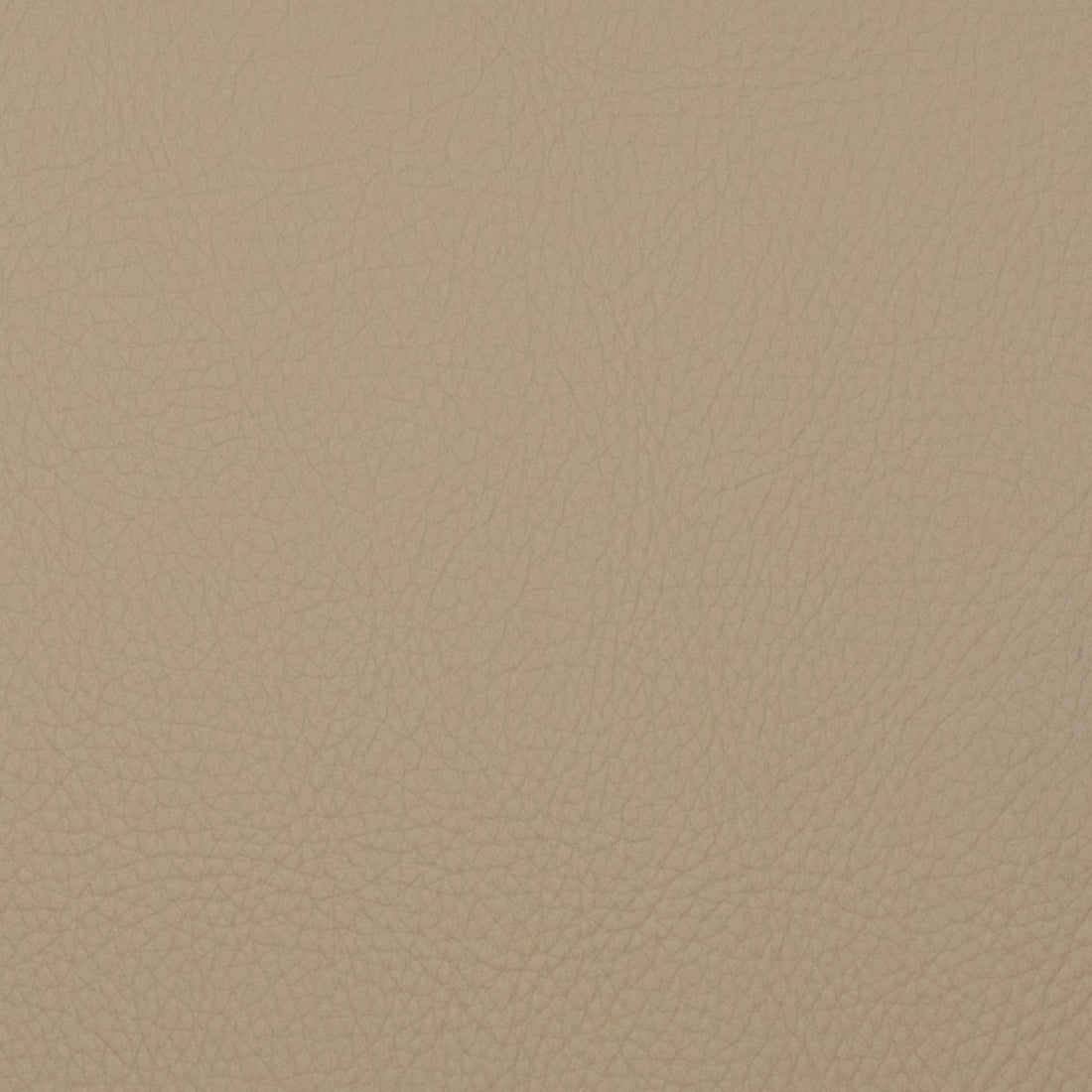 Neptune fabric in pebble color - pattern number 09121 - by Europatex in the Neptune collection