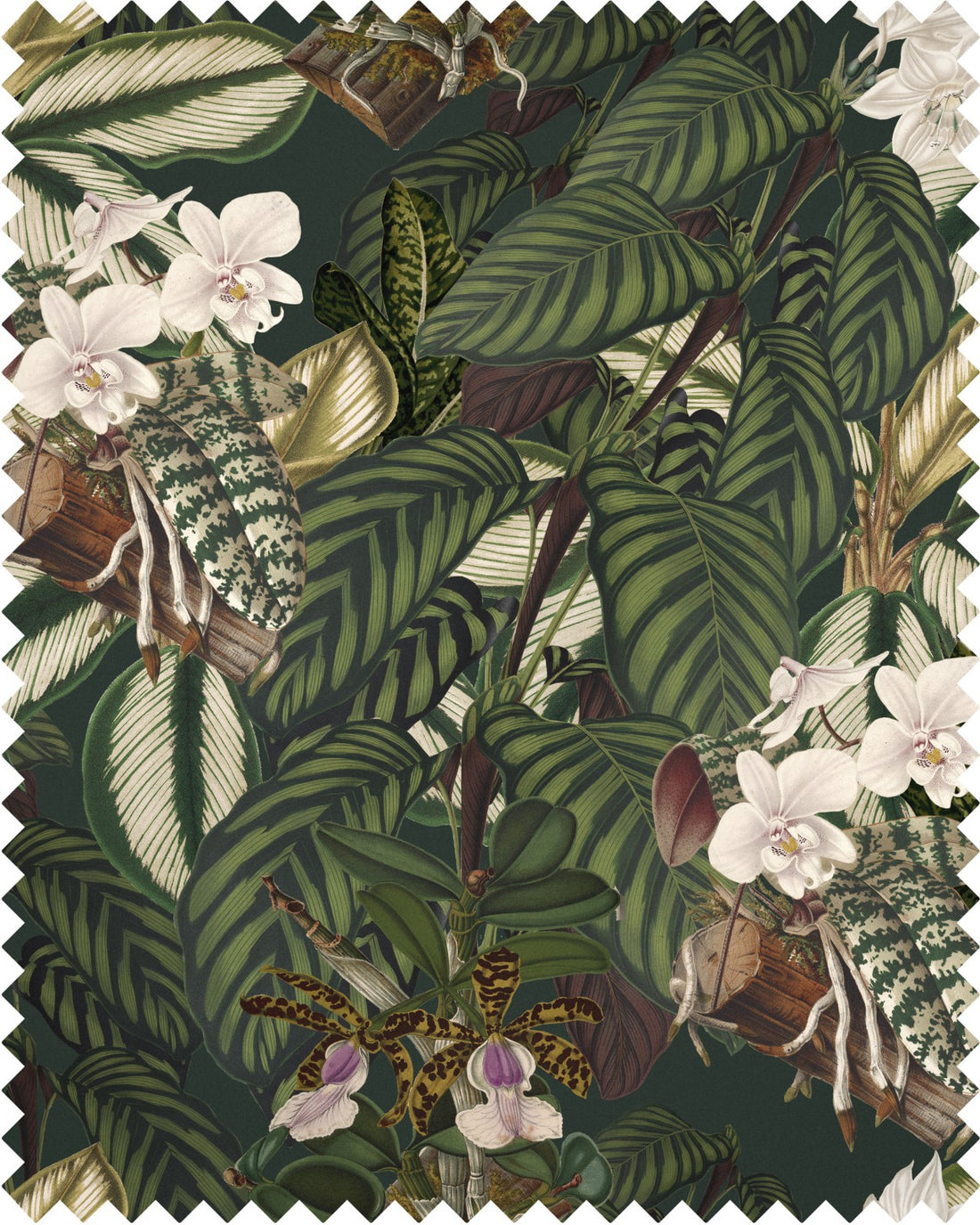 Orchid Bloom fabric in green brown taupe color - pattern number FB00032 - by Mind The Gap in the Tropical Cottage collection